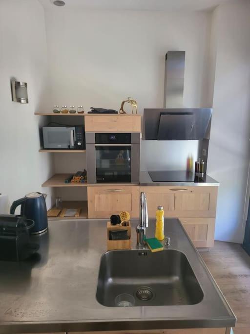 Appartement Luxe "La Providence" , Plein Centre Vichy Dış mekan fotoğraf