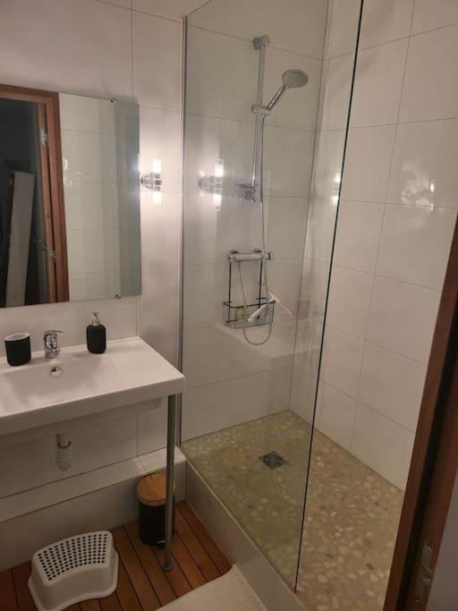 Appartement Luxe "La Providence" , Plein Centre Vichy Dış mekan fotoğraf