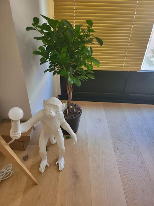Appartement Luxe "La Providence" , Plein Centre Vichy Dış mekan fotoğraf