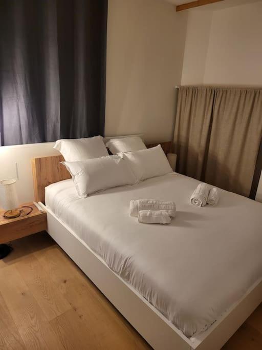 Appartement Luxe "La Providence" , Plein Centre Vichy Dış mekan fotoğraf