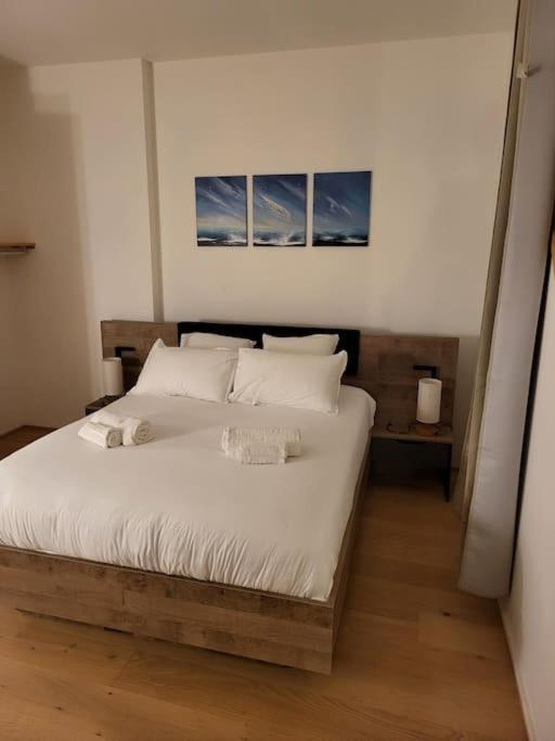 Appartement Luxe "La Providence" , Plein Centre Vichy Dış mekan fotoğraf